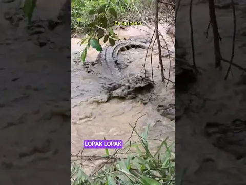 LOPAK LOPAK
