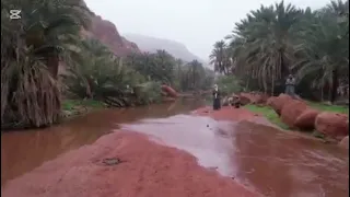 يا هيه يا مسير جنوب كاملة بدون موسيقى  دندنها