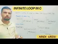 infinite Loop in C Programming Repititions in C Types Examples Lec 4 5