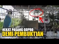 Download Lagu VIRAL !! DI DUGA LOVE BIRD INI LIPSING? KONTROVERSI KONSLET GAYA EXTREME