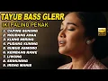 TAYUB BASS GLERRR 🎶Terbaru 2025 | Audio Jernih Nyampleng Nonstop