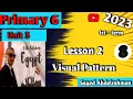 Visual Pattern