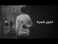 أغاني عراقية|تخيل شجرة بيها اوراق-سيف عامر تعديل مميز بطيء