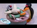 Download Lagu Pinga Is Born 🐧 | Pingu - Official Channel | Cartoons For Kids