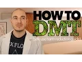 DMT Safety Guide Reducing Harm Through Education