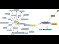 STRUSTSSO2 and SSL certificates explanation