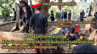 Download Murkanya Sang Pawang di Kuburan Tua❗Reog Janur kuning || live Sidorejo_ Pojok_ Mojogedang MP3