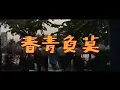 粵語長片🎭《莫負青春👰🏻Treasure your Youth》陳寶珠🎭呂奇