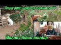 Download Lagu Pick the cassava leaves, then cook and eat deliciously.😊🤲👍🙏