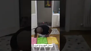 ادمان البودره  مخدرات  حشيش  إدمان  ترند دندنها