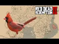 Where to find northern cardinal in red dead redemption 2