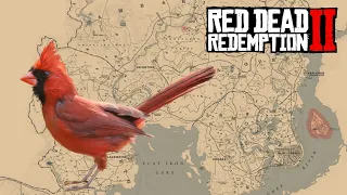Where to find northern cardinal in red dead redemption 2