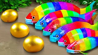 Tangkap Ikan Tropis Berwarna-warni, Bayi Penyu, Ikan Mas, Gurita, Ikan Ranchu, Ikan Guppy ASMR