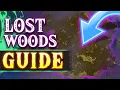 How To Enter THE LOST WOODS in Tears of The Kingdom Guide Walkthrough