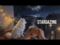 Lounge Jazz for Counting Stars on the Rooftop | Cozy Night Jazz with a Blanket