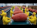 How Dates Are Processing Full Factory Process