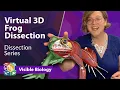 Visible Biology Dissecting a virtual frog in 3D with Dr Harley