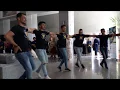 Download Lagu Un trandafir crește la firida mea - dans machedonesc (paidusca)