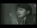 Rasa Cintaku - Mayangsari