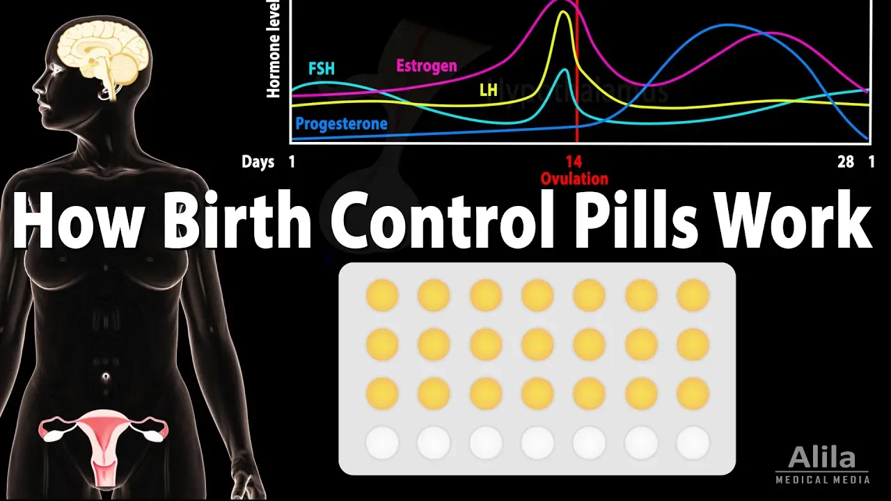 Outline Video How Birth Control Pills Work, Animation