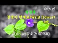임영웅 - 들꽃이 될게요 Wild flower