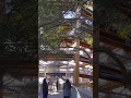Download Lagu Malahat Skywalk - Vancouver Island, BC, Canada