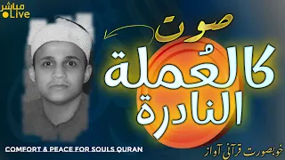 أروع ما قد تسمعه أذناك صوت يفيض بأحاسيس تكوي النفوس الشيخ سيد ندا Wonderful Quranic Voice 