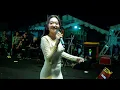 Lagu STECU STECU - Difarina Indra Adella - OM ADELLA - Live | ANNIV KE-7 FORJI - Indramayu