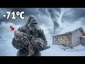 Lagu Her Strength Was Almost Gone at −71°C… Then a Gorilla Refused to Leave