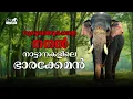 Shot four times, today the best elephant in Kerala | Guruvayoor Nandhan | Guruvayoor Nandan