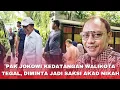 Download Lagu Walikota Tegal Datang, Minta Pak Jokowi Jadi Saksi Akad Nikah 