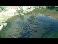 Rio Inha - Portugal 4k (Drone DJI Air2s)