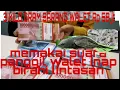 Download Lagu VIRAL SUARA PANGGIL WALET I WALET KAWIN