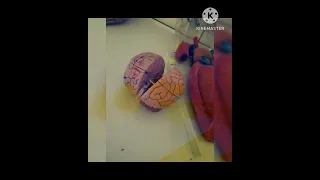 اما الحلم فهو الطريق الطويل اللي لازما تمشي فيه فيديوهات تحفيزيه كليه الطب Motivation Study 