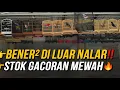 Download Lagu BENER² DI LUAR NALAR‼️ BURUNG GACORAN MEWAH READY DI KIOS KECIL INI‼️ BIKIN KAGET SEMUA ORANG