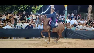 خيل رقص المهلم مدحت البيطار