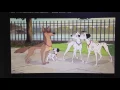 Download Lagu 101 Dalmatians 2: Patch's London Adventure - Take Them Away/Family Reunion