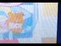 Nick Jr Bears Screen Bug 2006