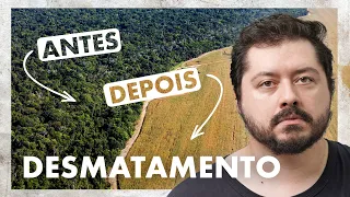 Desmatamento no Brasil