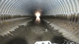                     دندنها