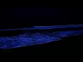 Goodbye Stress to Deep Sleep Instantly with 24 Hours of Ocean Sounds on a Dark Night