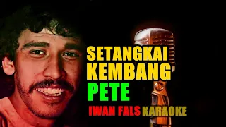 Download KARAOKE IWAN FALS | SETANGKAI KEMBANG PETE MP3