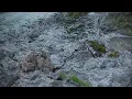 Cannon beach - Blender Flip Fluids simulation