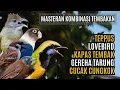 Download Lagu MASTERAN KOMBINASI MEWAH BESETAN CUNGKOK GEREJA TARUNG, TEPPUS, KAPAS TEMBAK, LOVEBIRD
