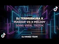 Lagu DJ TERIMUSKURA X MASHUP V3 X MELODY GONG VIRAL TIKTOK 2024 - DJ HANZZ TEAM