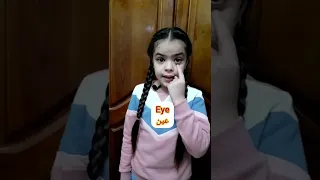 أسماء أعضاء الجسم باللغه الانجليزية مع شيراز 