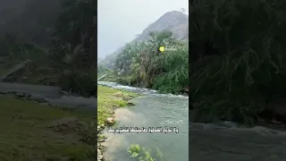 قطرات المطر بصوت علي القصير 