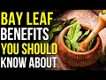 6 Amazing Benefits of Bay Leaf What Do Bay Leaves do to Your Body