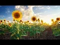 Download Lagu Peaceful Relaxing Instrumental Music, Calm soothing Meditation Music \