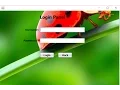 How to add Jframe Background Image by Netbeans
